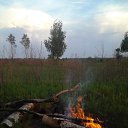  ,  , 65  -  21  2016    2