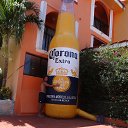 ���� �����, ������, 106 ��� - ��������� 29 ������� 2016 � ������ ���� ����������