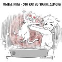 ���� Ma����, ������������, 32 ���� - ��������� 3 ������ 2015 � ������ ������ ��������