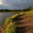 ���� �����, ���������, 41 ��� - ��������� 1 ������� 2015 � ������ ������� � ����:)�