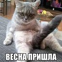���� Svetlana, ���������, 38 ��� - ��������� 1 ����� 2016 � ������ ������ ��������
