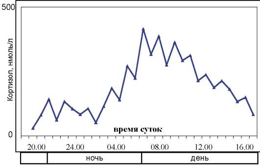 Кортизол.Кортизол (гидрокортизон, или 17-гидрокортикостерон) - жизненно важный стероидный гормон, ...
