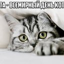 ���� ������, ����������� , 45 ��� - ��������� 16 ������� 2015