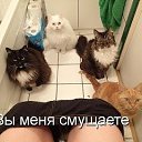 ���� �������, ������ ��������, 47 ��� - ��������� 7 ������� 2015 � ������ ������Ż