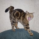   ))), , 57  -  27  2016    !