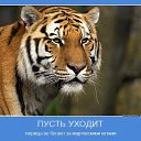 ���� Somebody, ��������� - ��������� 6 ������� 2016 � ������ ������ ��������