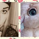 ���� ������, �������, 37 ��� - ��������� 24 ������� 2016 � ������ ���� ����������