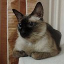 ���� ������, ���������, 45 ��� - ��������� 11 ������ 2016 � ������ ������