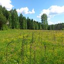 ���� ������, ����������-���������, 44 ���� - ��������� 31 ������� 2015 � ������ ����������