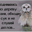 ���� ������, �����������, 58 ��� - ��������� 17 ������ 2016 � ������ ���� ����������