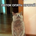 ���� ������, ������, 47 ��� - ��������� 14 ������� 2015 � ������ ������ ��������