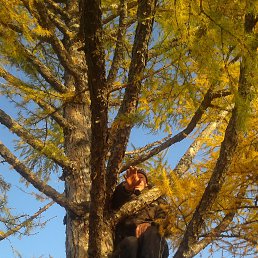 �������, �������, 46 ���