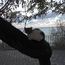 �����.������� 2015�.�������...:) �� ������� ���� ����������