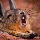 ���� ������, ��������, 64 ���� - ��������� 5 ������� 2016 � ������ ������ ��������
