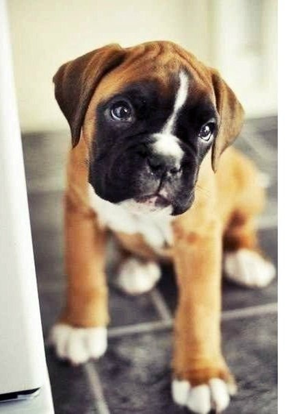 ������ ������ - 30 �������� 2015 � 15:02