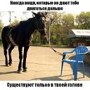  ******, , 53  -  19  2015   