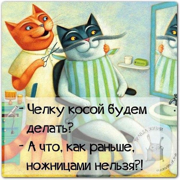   - 2  2016  01:41