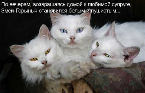 ����� �������� - 19 ������ 2015 � 19:21