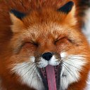 ���� �����, ������������, 53 ���� - ��������� 5 ������� 2015 � ������ �������Ȼ