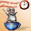 ���� ����/������, ������ �����, 73 ���� - ��������� 23 ������ 2015 � ������ ��������