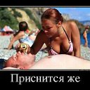  Wlad, , 51  -  1  2016    