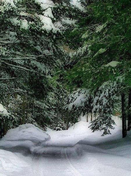   - 8  2015  09:33 - 4