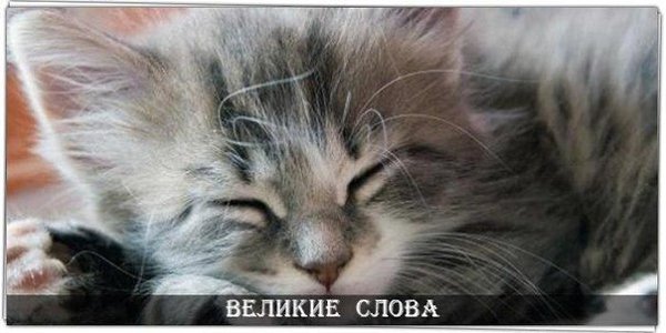 Хотите счастья? Поменьше ворчите, побольше мурчите!