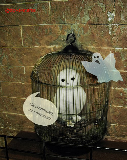 dipi-avatarka - 4 ноября 2015 в 12:32