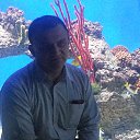 ���� �������, ������, 51 ��� - ��������� 20 ������ 2015 � ������ ����������� 11.11.15�