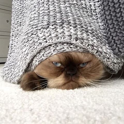  -  - 20  2016  13:25