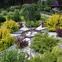 ���� �����, ������������, 55 ��� - ��������� 24 ������� 2015 � ������ �������� ������