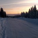 ���� ������, ��������, 43 ���� - ��������� 29 ������� 2015 � ������ ���� ����������