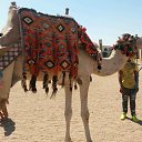 ���� ������, ���������, 45 ��� - ��������� 12 ������� 2015 � ������ �������....�������