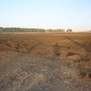 ���� Yury, �����������, 47 ��� - ��������� 1 ������� 2015 � ������ ���� ����������