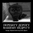 ���� �����, ��� - ��������� 27 ������ 2016 � ������ ������ ��������