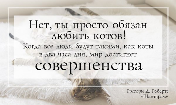 Вышла вторая часть романа «Шантарам» — «Тень горы». Самое время вспомнить яркие цитаты из первой ... - 2