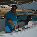 ���� ���������, ������-���, 41 ��� - ��������� 26 �������� 2015 � ������ ���� ����������