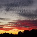 ���� �����, �����, 64 ���� - ��������� 12 ������� 2015 � ������ �"��������" �������� (1.10.2015)�