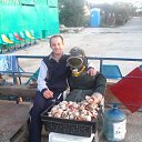 ���� �����, �����������, 39 ��� - ��������� 27 �������� 2015 � ������ ���� ����������