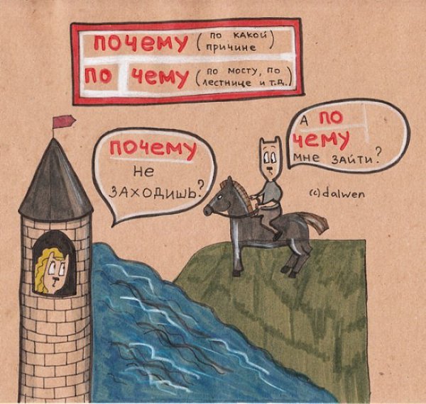 10 правил русского языка в котах.В русском языке столько нюансов, что порой мы начинаем в них ... - 2