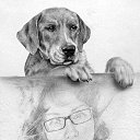  ,  -  9  2015     ....  ....