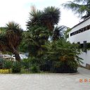 ���� �����, ���� - ��������� 24 ������ 2016 � ������ �����