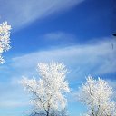 ���� ����, ����������� - ��������� 18 ������� 2016 � ������ ���� ����������