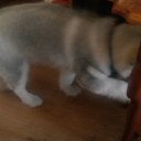 ���� �����, ������� - ��������� 23 ������ 2016 � ������ ������������ �������