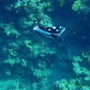  , , 59  -  16  2015    Ż