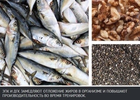 Жиры, помогающие сжигать жиры.Не все пищевые жиры превращают нас в толстяков. Актуальная информация ...