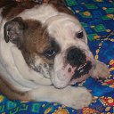 ������ ������� ��������� �� ������� ���� �������