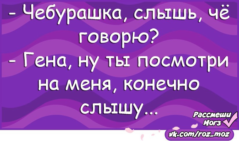 Слышь конечно. Анекдоты про Чебурашку и Гену самые смешные без мата. Анекдоты про Чебурашку с матом. Анекдоты про Гену и Чебурашку с матом смешные. Анекдоты про Чебурашку и Гену без мата.