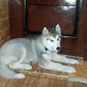 ���� �����, ������� - ��������� 23 ������ 2016 � ������ ������������ �������