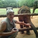 ���� ������, �����-���������, 67 ��� - ��������� 1 ������� 2015 � ������ ���� ����������